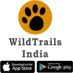 download Fatigue of Materials and