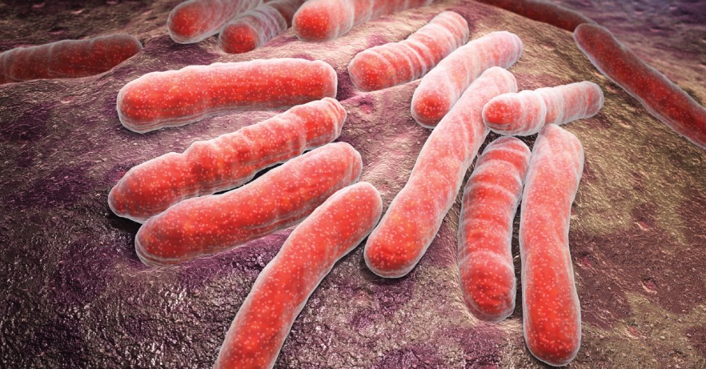 WebMD's tweet image. Here's a reason to wash your hands after ordering: Restaurant menus have 100 times more bacteria than a toilet seat, according to one microbiologist. wb.md/2C0HrXs