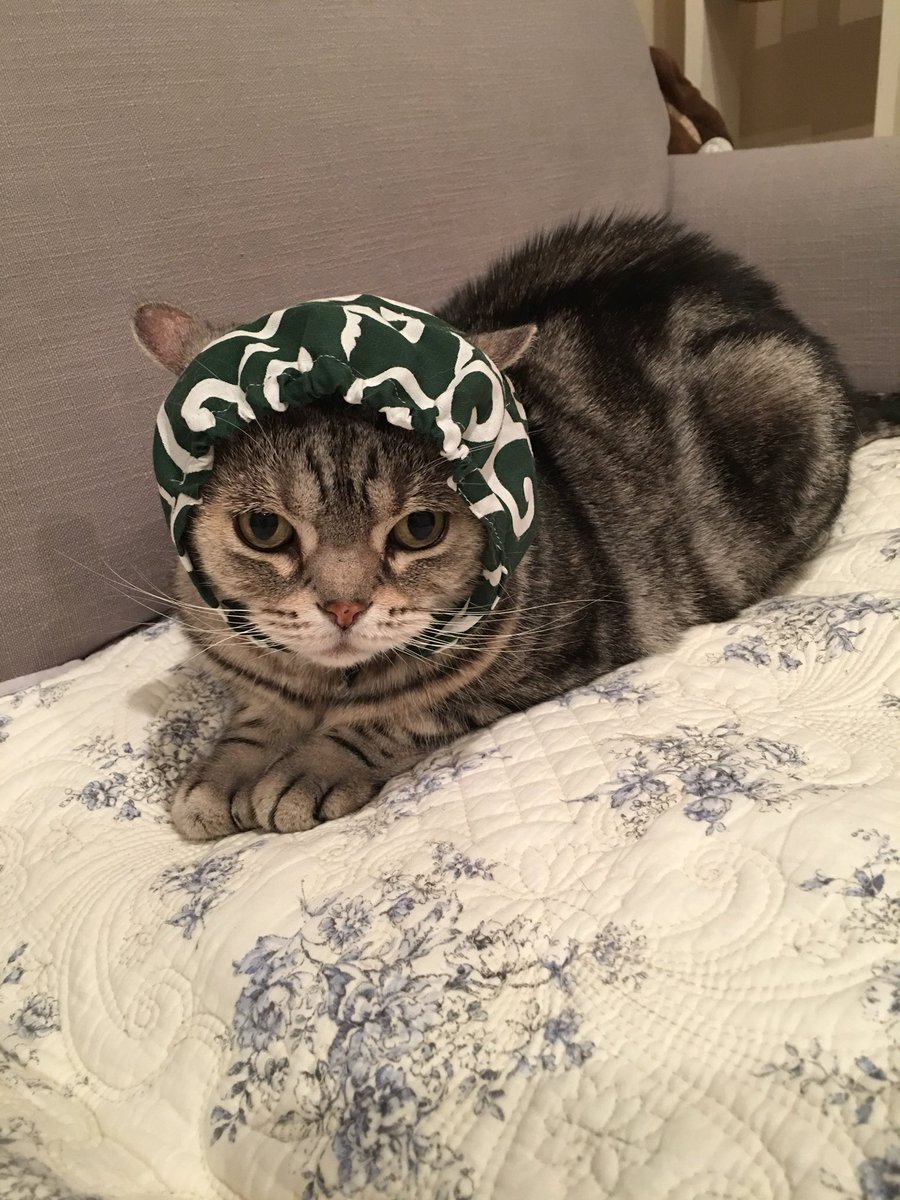 akihimatandon's tweet photo. もうすぐクリスマスだよ〜(^-^)
サンタさんが行くから煙突掃除して待っててにゃー！
でも、泥棒も一緒に入るかもしれないので気をつけて下さいね〜(*^_^*) https://t.co/lUPzel4Ew5