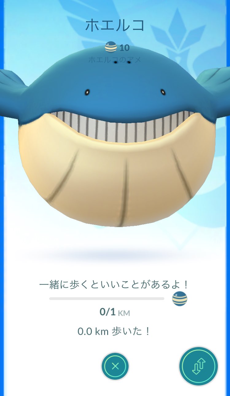 メルタン ラッキーと1000キロ歩いたので相棒かえてみた ホエルコ大きい 笑 ポケモンgo Pokemon T Co Omugdb5gqo Twitter