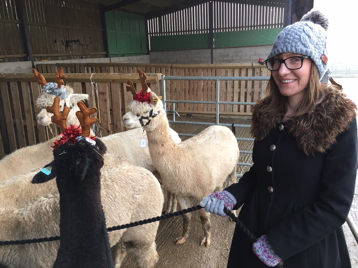 SplendidApple1's tweet photo. Fantastic day yesterday at @PukkaPacas for the Splendid Apple Xmas party! Lots of Alpaca fun and laughs. Also delicious food and hospitality from the guys at  @The_Mill_Wheel too! Happy Christmas!! See you next year! https://t.co/SB9woGI8mo