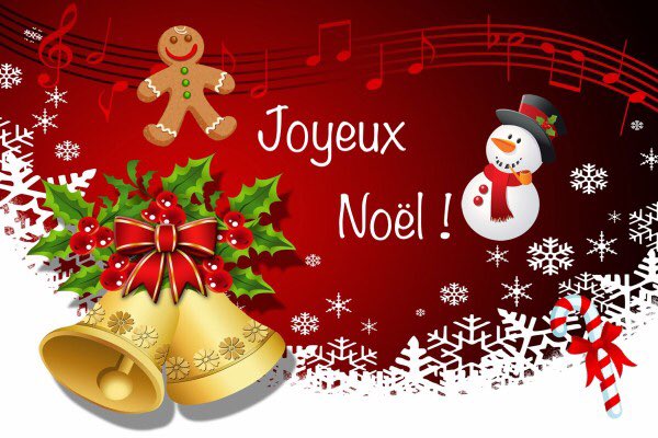 Bonnes fêtes de Noël 🎄 à toutes et à tous ! Que la paix , l’harmonie et l’espoir envahissent vos foyers #Oise #ForceRepublicaine