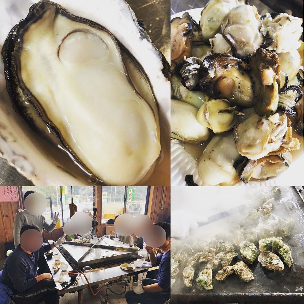 茨木文也 かき焼き うちの海 牡蠣食べ放題 毎年恒例 牡蠣食べ放題 O 大きくてジューシーでプルプルな徳島の 牡蠣は今の時期がベストシーズンです 店員さんがめちゃくちゃ親切になってました うちの海 牡蠣 カキ かき 鳴門 徳島 食べ