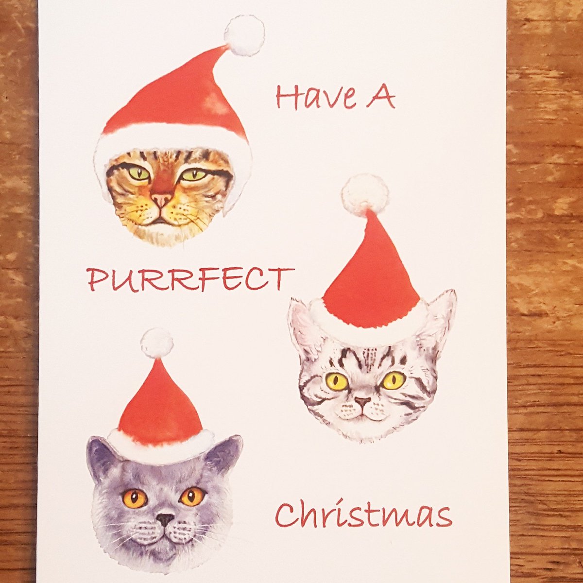 Have a purfect Christmas! Crazy cat cards by Laura Robertson right here <a href="/BishopstonV4Ps/">Bishopston Vets4Pets</a> <a href="/glosrdcentral/">glosrdcentral</a> <a href="/GlosRdArtBanner/">GlosRdArtBanners</a>