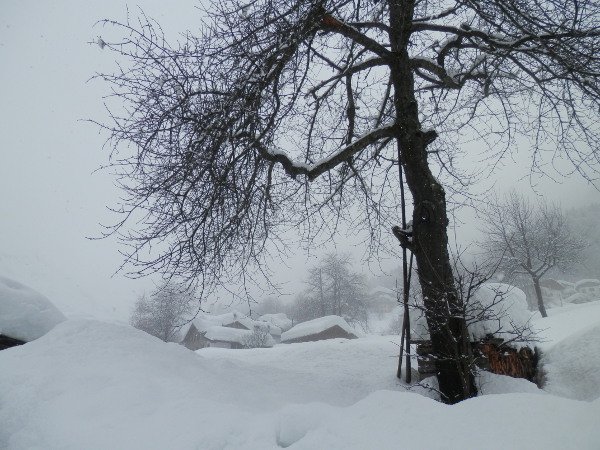 #Neve ❄️... in dialetto zoldano! Alcune sue definizioni e descrizioni!
Scopri bit.ly/2l2DB5B