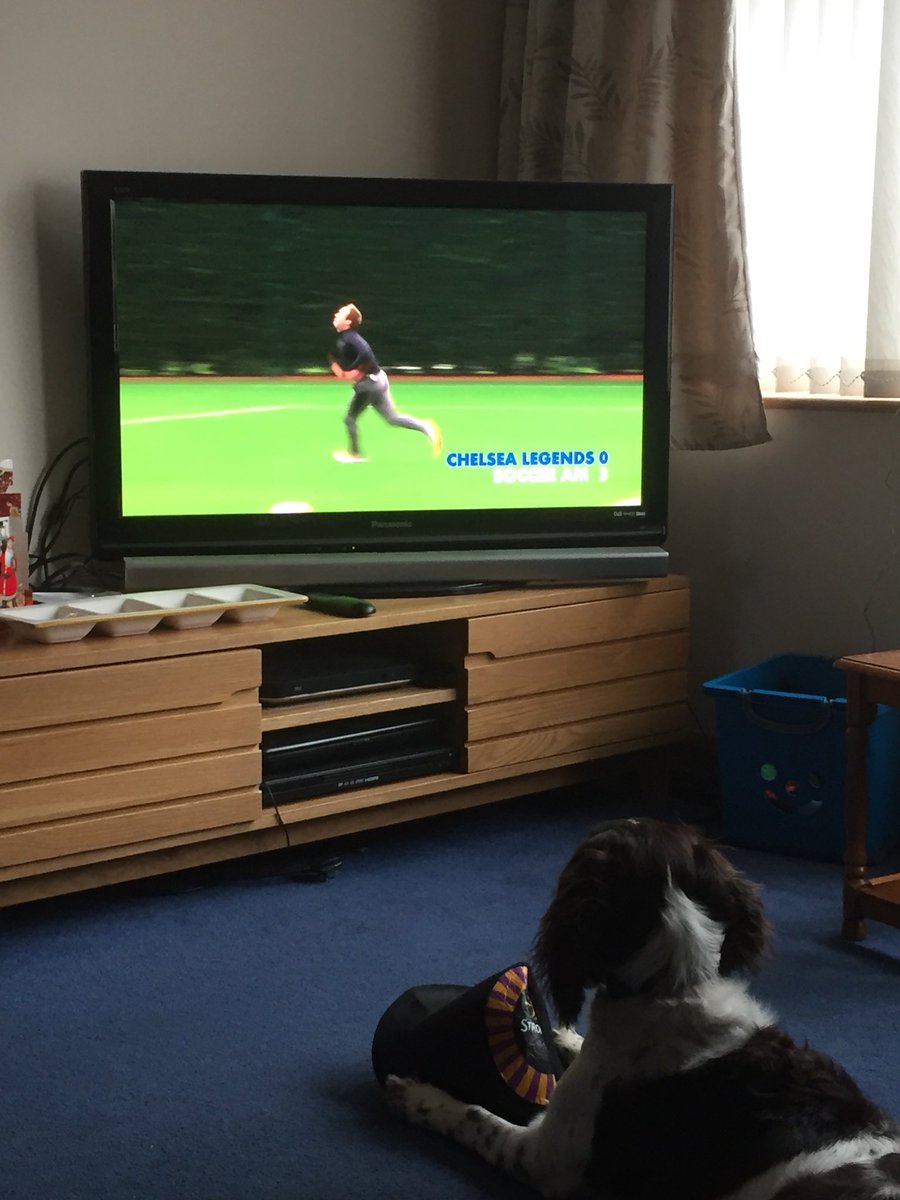 Debra Falkingham (@debfalk9) on Twitter photo Even the dog enjoys <a href="/SoccerAM/">Soccer AM</a> Even the dog enjoys <a href="/SoccerAM/">Soccer AM</a>