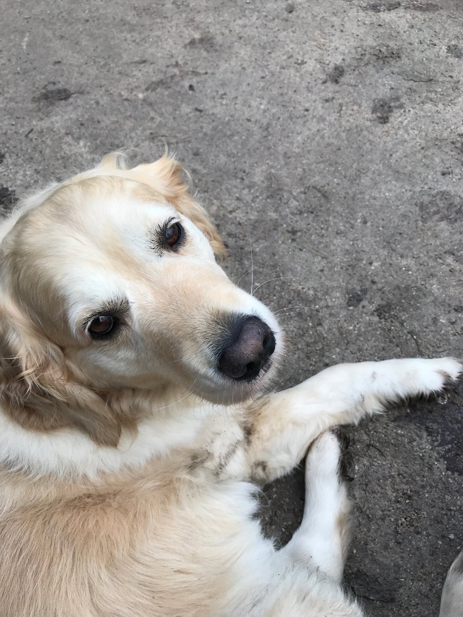 damoss's tweet image. Enjoying a shopping free time with Annie when UK consumers go mad pre Xmas spending  £1.4billion!