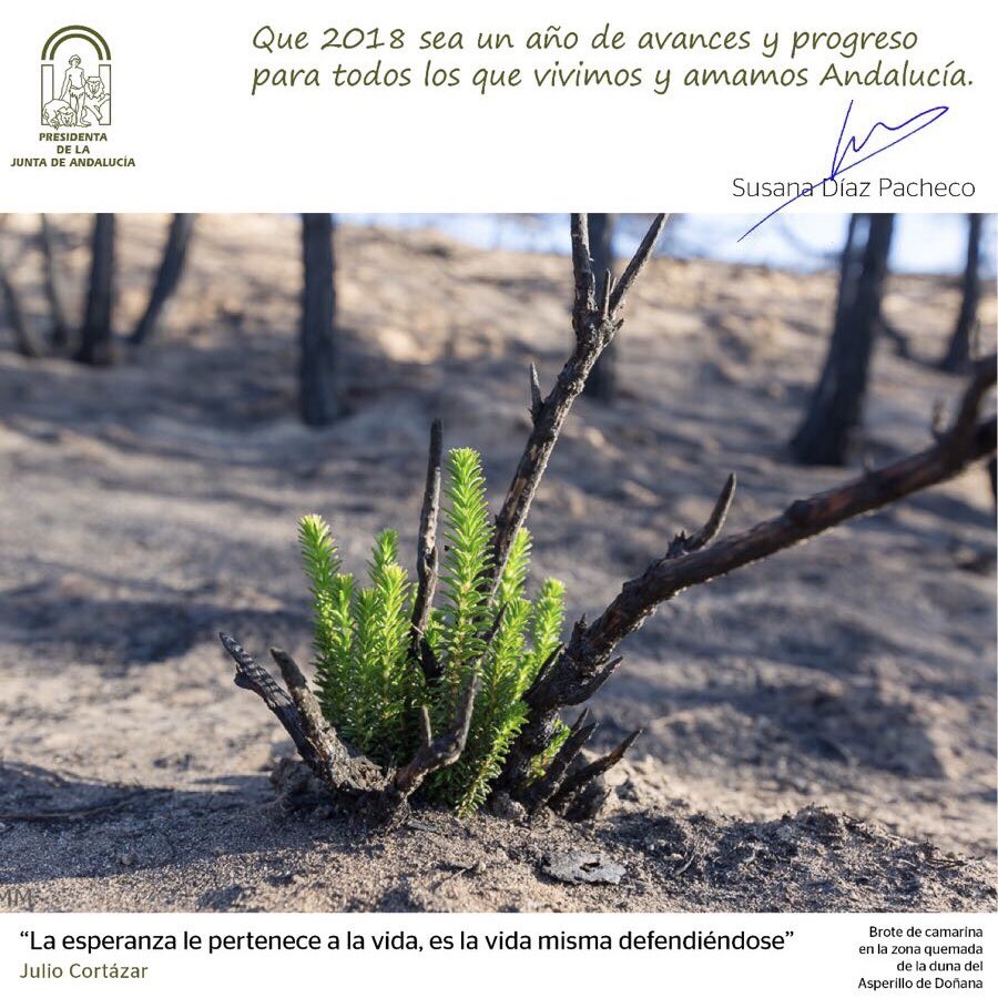 Mis mejores deseos a todos los andaluces en estos días de celebración y reencuentro. Espero que compartáis estas fiestas en la mejor compañía y que alcancéis vuestros mejores proyectos y retos.