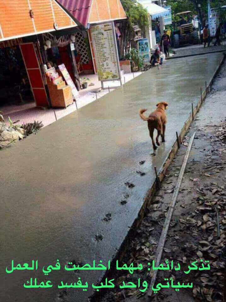 من غير تعليق 🤣✔️