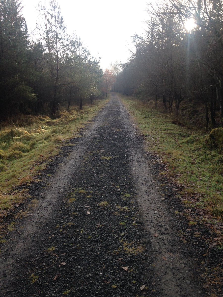 robbta's tweet photo. Route marked in Rtown forest for @KickhamsCreggan first annual St Stephens day walk in aid of @macmillancancer Please come along and bring your kids at 10.30am and hopefully santas reindeers will have returned!🎅🦌@AontroimGAA @Tirnanoggac @Cargin_Gac https://t.co/sNSN4OZlDe