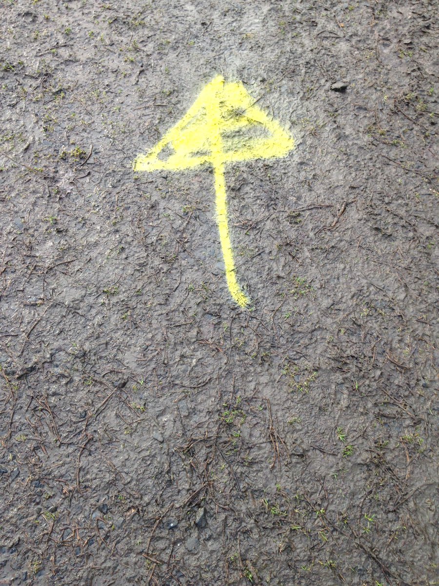 robbta's tweet photo. Route marked in Rtown forest for @KickhamsCreggan first annual St Stephens day walk in aid of @macmillancancer Please come along and bring your kids at 10.30am and hopefully santas reindeers will have returned!🎅🦌@AontroimGAA @Tirnanoggac @Cargin_Gac https://t.co/sNSN4OZlDe