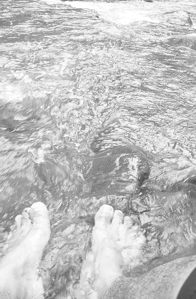 AD_MD_Jabs's tweet photo. Seven days, seven black and white photos of your life. No people, no explanation. Challenge someone new everyday. Day 1 of 7. I was challenged by @ALex_znarf001 Today, I challenge @usukran5
#ALDUBChristmasFeels https://t.co/6q5GPzxHWp