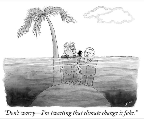 Don't worry - I'm tweeting that climate change is fake