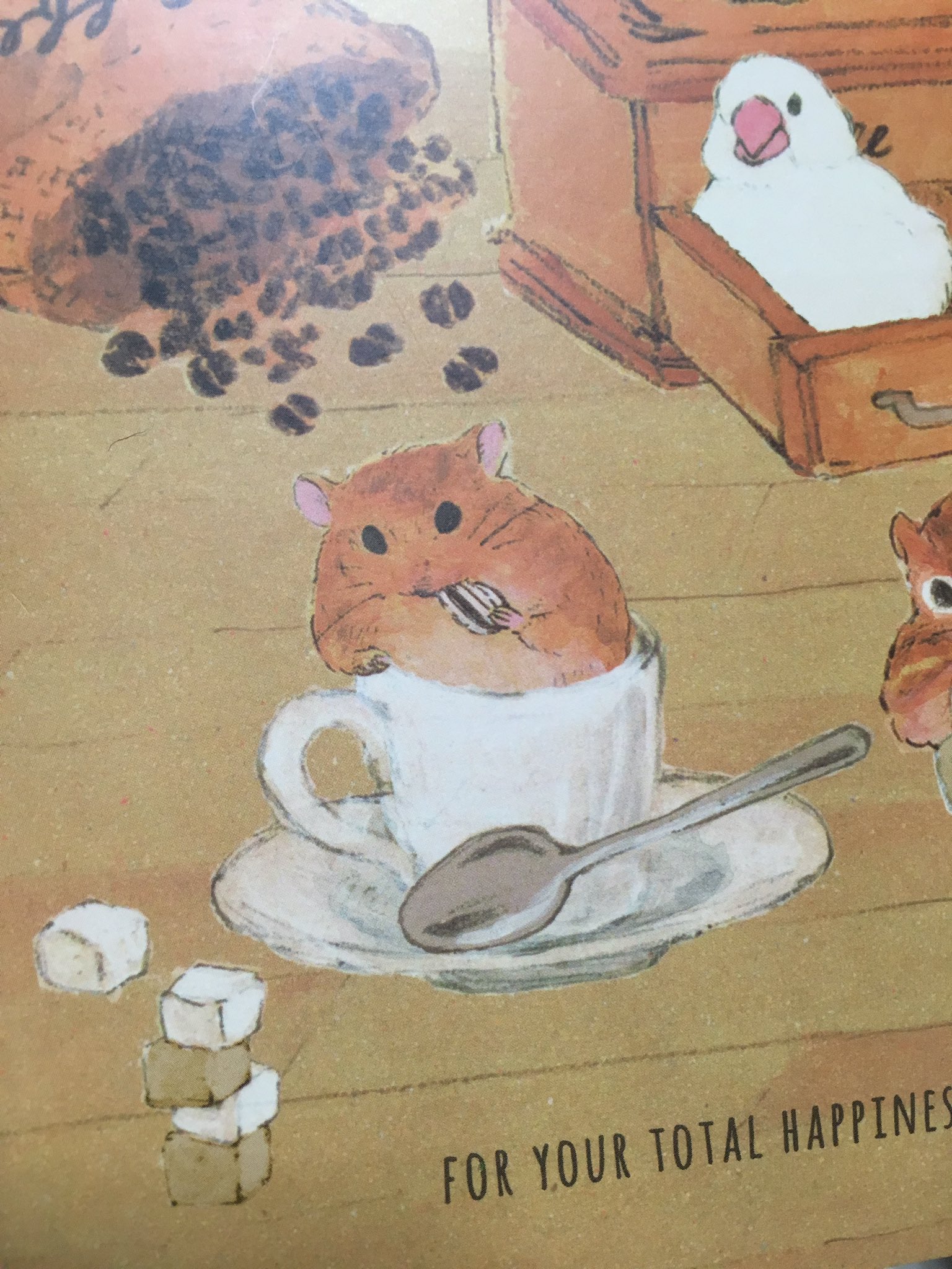 のふちゅん Auf Twitter セリアでえらいもんを買ってしまった キンクマハムスターのイラスト入りのノートですよ ゴールデンでもジャンガリアン でもない キンクマハムスター すばらしすぎる E デフォルメとかいらんのです リアルなイラストがいちばんかわいい のふちゅん Auf Twitter セリアでえらいもんを買ってしまった キンクマハムスターのイラスト入りのノートですよ ゴールデンでもジャンガリアン でもない キンクマハムスター すばらしすぎる E デフォルメとかいらんのです リアルなイラストがいちばんかわいい