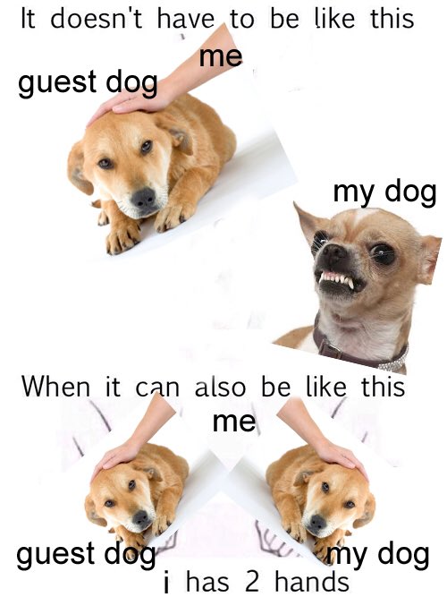 Meme Animal House - Aqeel George