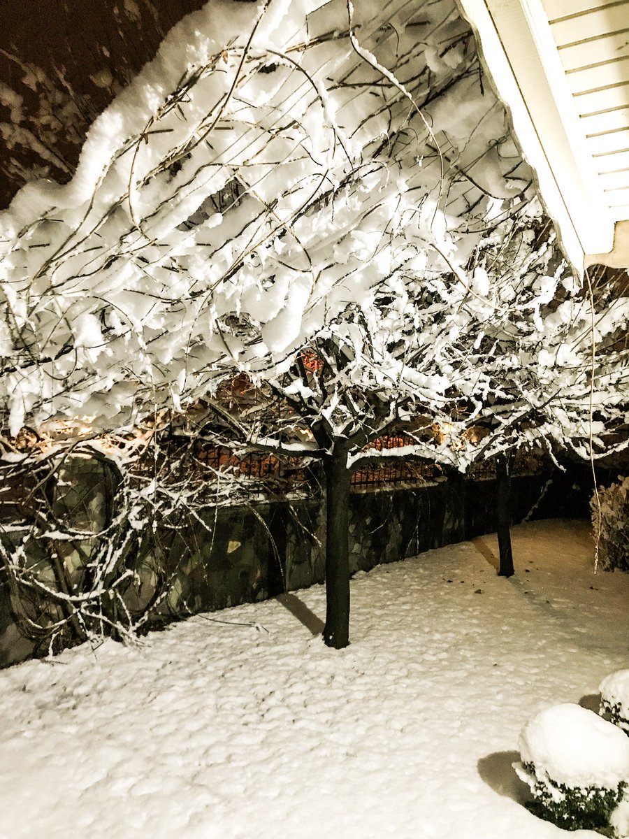 Murat14 (@mrtckmk14) on Twitter photo 