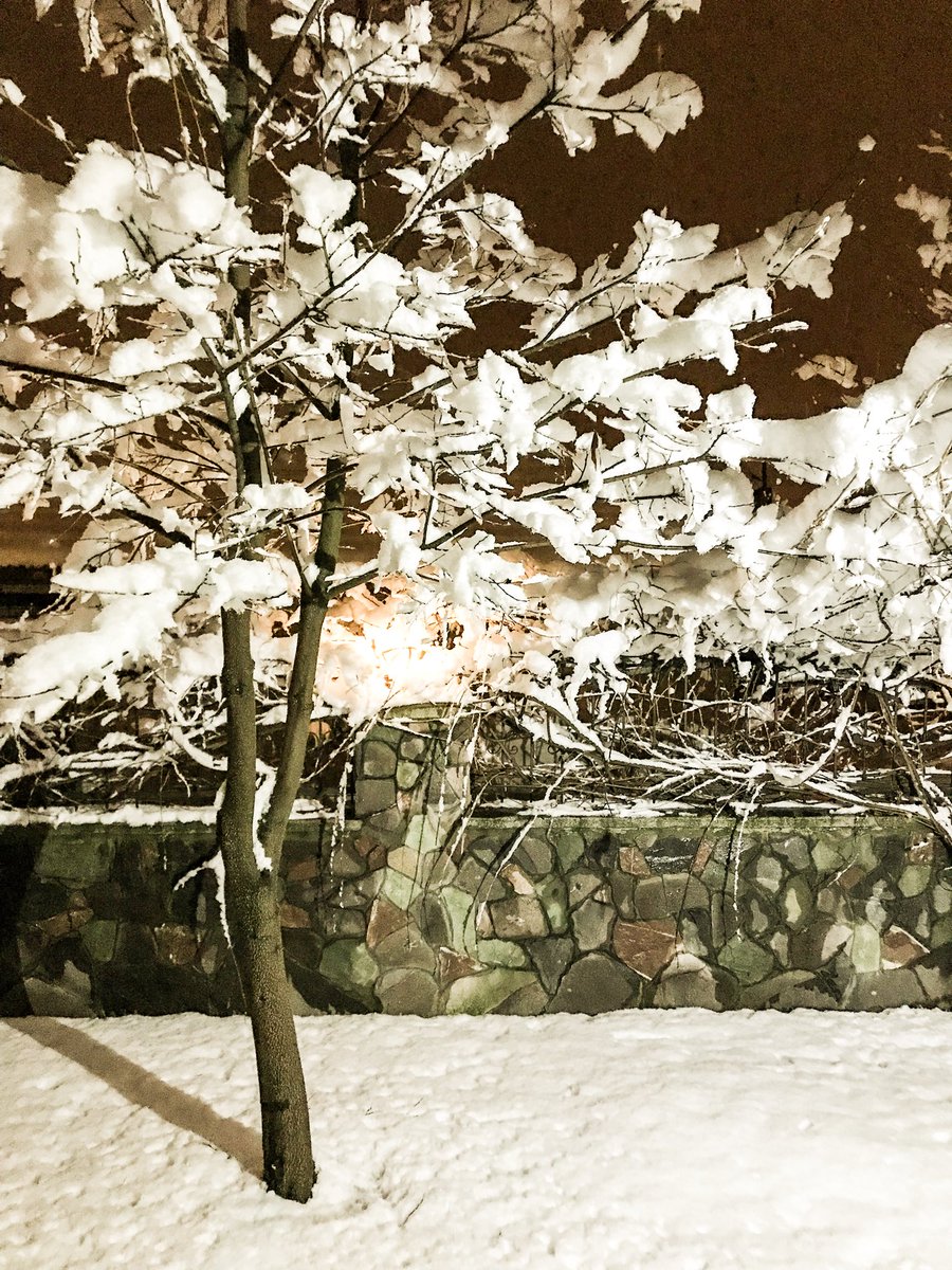 Murat14 (@mrtckmk14) on Twitter photo 