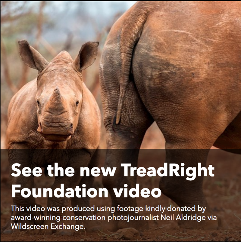 It's lovely that photographers can donate images and film via <a href="/WildscreenEx/">Wildscreen Exchange</a> to good causes, to help them make a difference. Here @AldridgePhoto's rhino footage helps @RhinosBotswana's friends working to keep rhinos safe in South Africa #Hannelore #Kariega youtube.com/watch?v=s5tUlp…