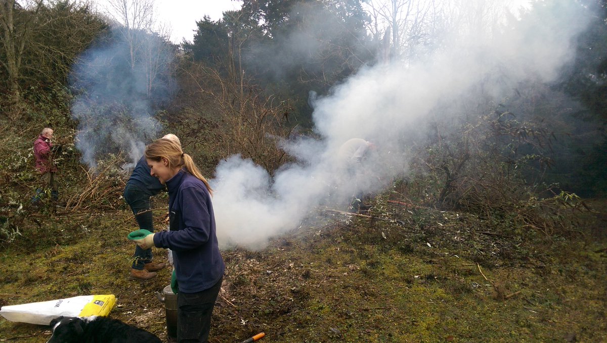 BillDowney8's tweet photo. Before and after photos of Surrey Small Blue workparty at Netley Plantation. We are getting very practiced at clearing out old quarries. https://t.co/hvUtzGEePF