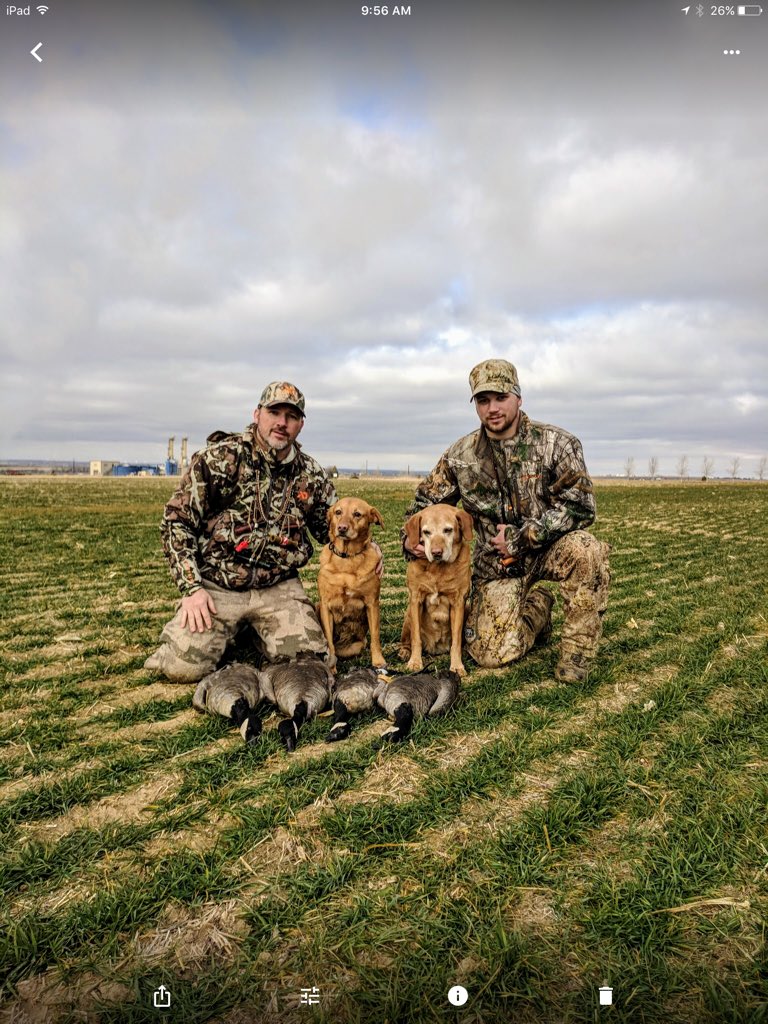 Fin Feather and Bone tweet media