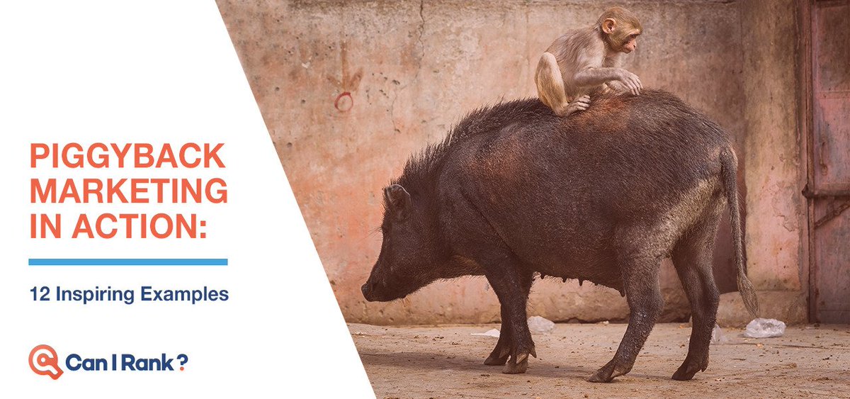 piggyback marketing Airbnb leads the way with piggyback marketing | marketing society blogs 2015. piggyback marketing Airbnb leads the way with piggyback marketing | marketing society blogs 2015.