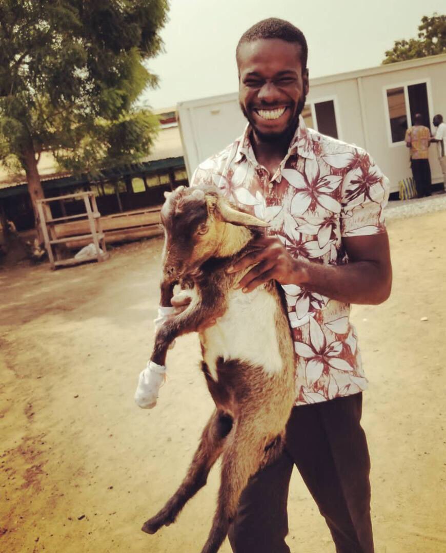 slydepay's tweet photo. What will the fate of the goats be this Christmas now that they're in the hands of people who were ready to do the extreme #forthegoats??? 
#winners of the SlydePay #ForTheGoatChallenge #ChristmasWithSlydepay https://t.co/ALuqmiD20O