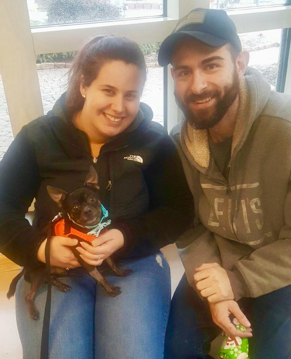 cthumane's tweet photo. #WhiteChristmas - check. New bow tie - check. A #HomeForTheHolidays - check, check, check! 

Kobe is going home!

#Adopt #Newington #LittleDogsRock https://t.co/Vz1wbc38vM