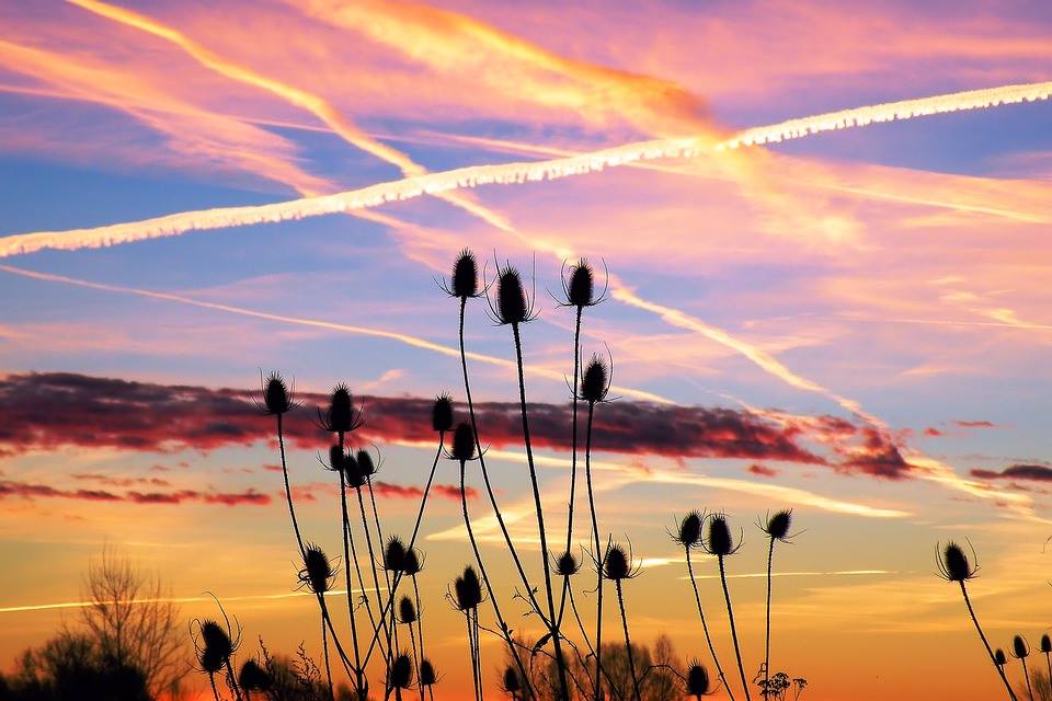 spaceartefact's tweet photo. #genocide #chemtrails #poison #nwo #photo #toxicskies #slowkill #depopulation #weathercontrol #weatherwarfare #weather #geoengineeredsky #haarpclouds #weathermanipulation #chemicalsky #toxicsky #morgellons https://t.co/T7OQ3UbcRn