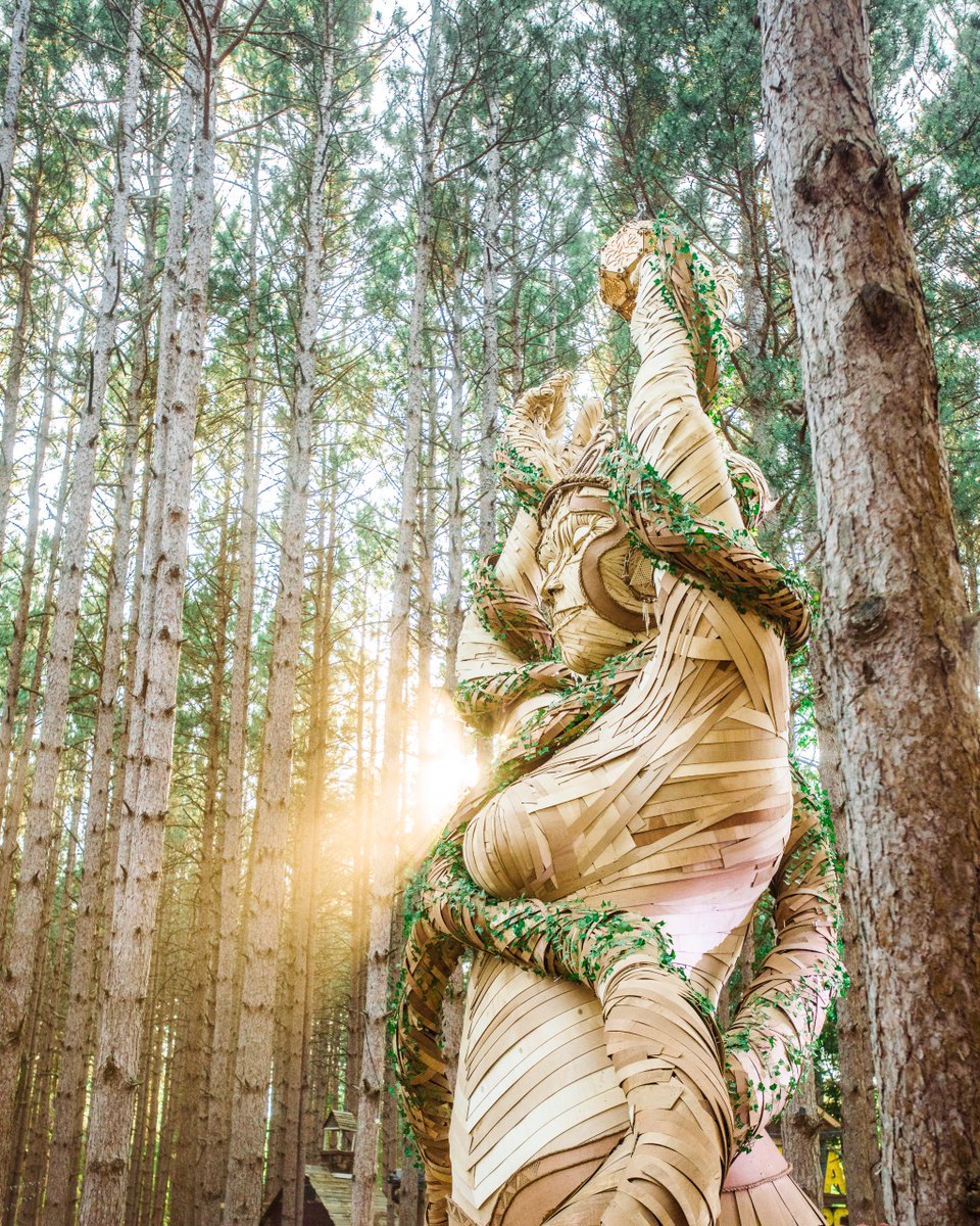 Follow her light. 🌲✨ #ElectricForest