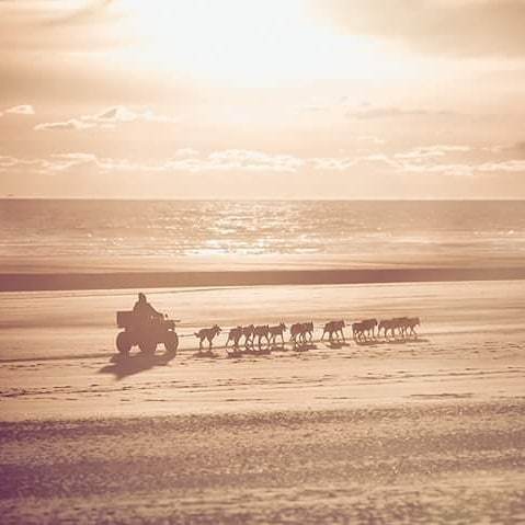 360Bees's tweet image. Attention grosse info !
Le réveillon approchant, un photographe aurait cru reconnaître le Père Noël en train d'attaquer son échauffement pour la tournée annuelle : le père Noël aurait choisi une célèbre plage française appréciée du président Emmanuel Mac… ift.tt/2DA9knh