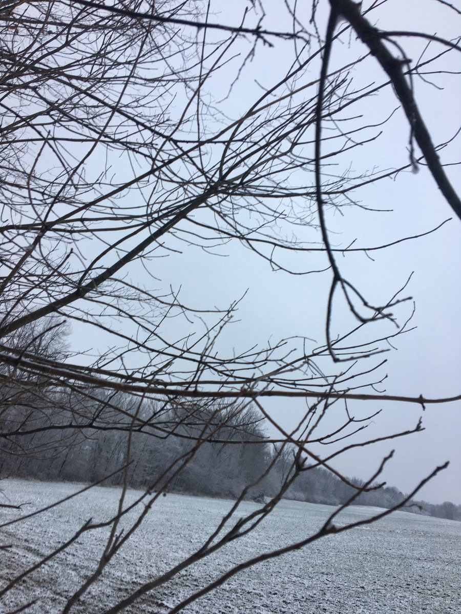 What a beautiful day to not to see a deer.