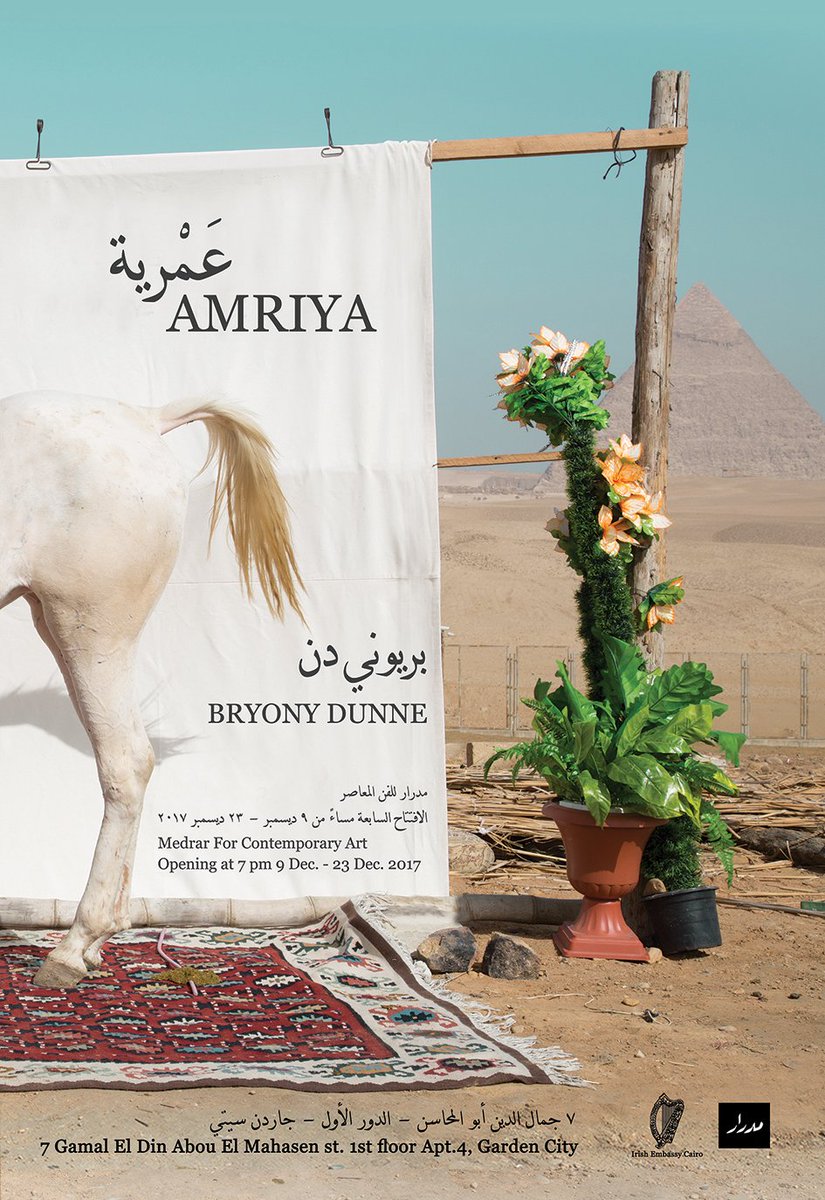 Bryony Dunne tweet media