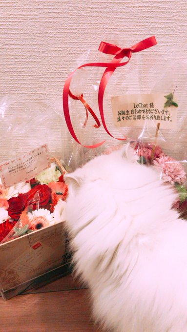 Twitterのコスプレ画像24