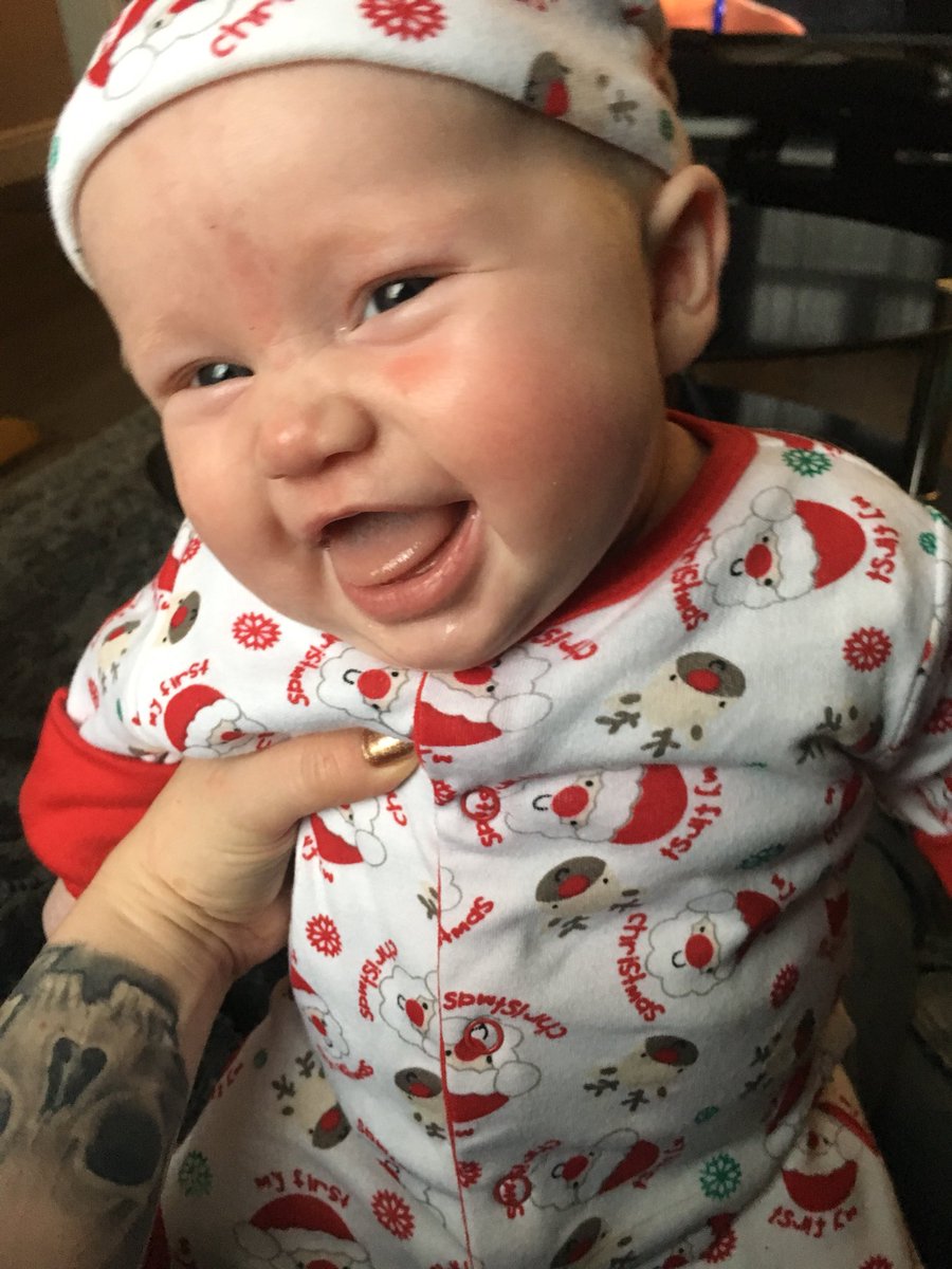 MissPugLover's tweet photo. 🎄 https://t.co/zHR89TmgKv