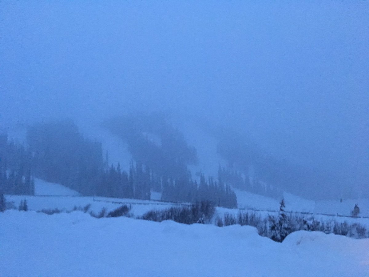 Blair Miller tweet media