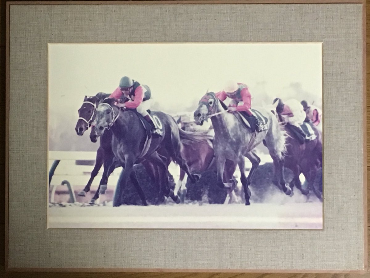 思い出の有馬記念】1988年 オグリキャップが3度目の正直でタマモクロス