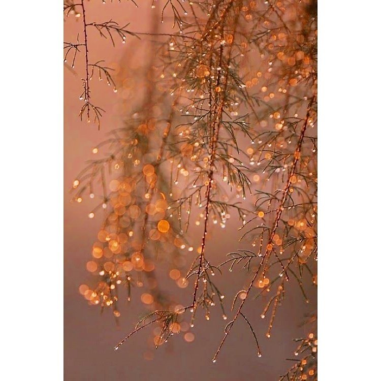 JessicaDelfini's tweet photo. Noël n'est pas uniquement une journée pour ouvrir les cadeaux mais surtout une journée pour ouvrir nos cœurs. 
Bon préparatifs à toutes et à tous, profitez pleinement de ces instants uniques. 
#espritdenoel #latetedanslesetoiles #amedenfant #labeautedenoel #instalove https://t.co/Sk2EGBg7oF