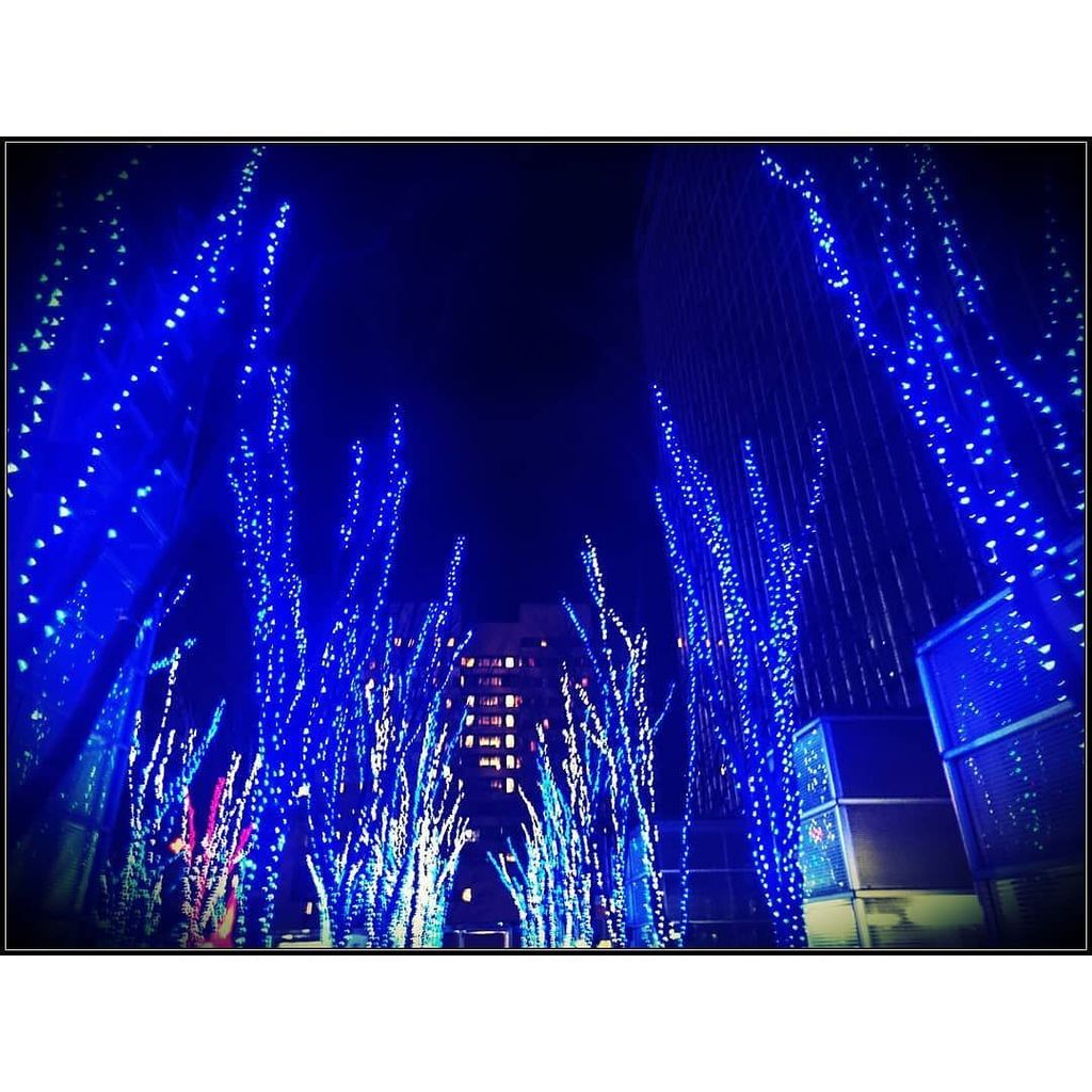 ルナティッククリスマス Hashtag On Twitter