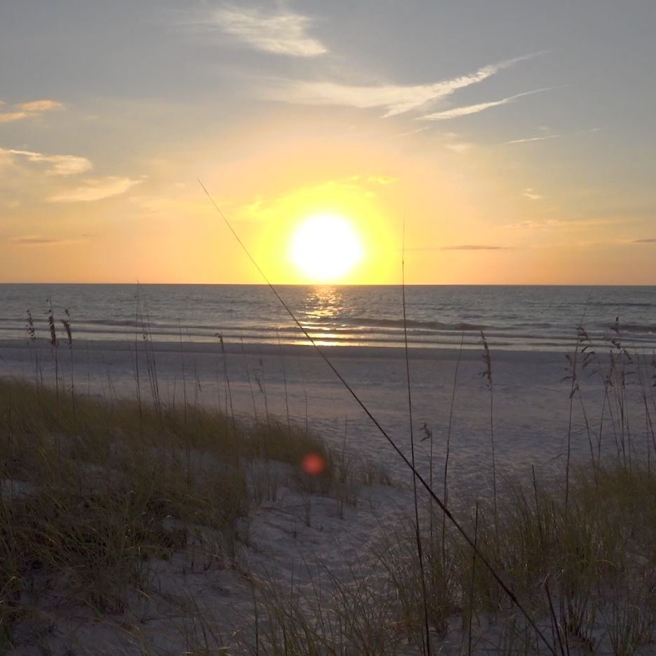 VISITFLORIDA's tweet photo. Goodnight, #Florida. #LoveFL https://t.co/5TqBfMSUaM