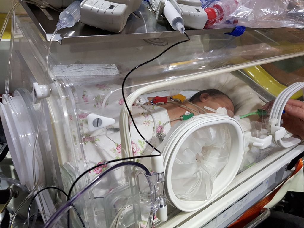 Israel's tweet photo. a 2 days-old Syrian refugee baby  was brough to Israel from #Cyprus today for an emergency life-saving #heart operation at @SHEBA_ medical center. Praying for a full &amp; quick recovery! ❤ https://t.co/x1b5d6cERE

(Photos - 'Aviation Bridge') https://t.co/OrAVJNZR3F