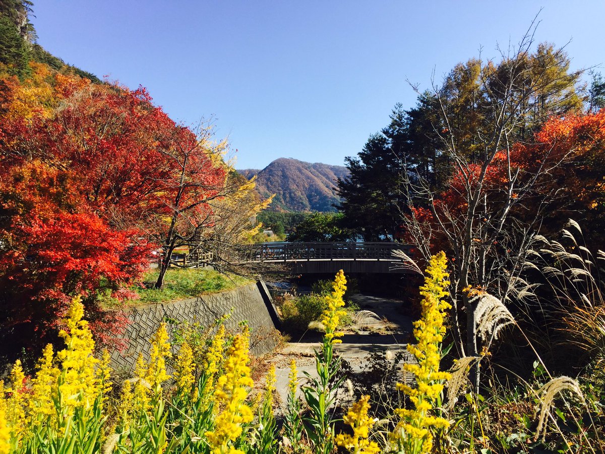 Travelsiamy On Twitter Apa Yang Best Masa Musim Luruh Dekat Sana Nah Kawasan Pergunungan Fuji Surely Menjanjikan Sesuatu Kelainan Untuk Korang Percaya Lah Https T Co Aih8ryp7un