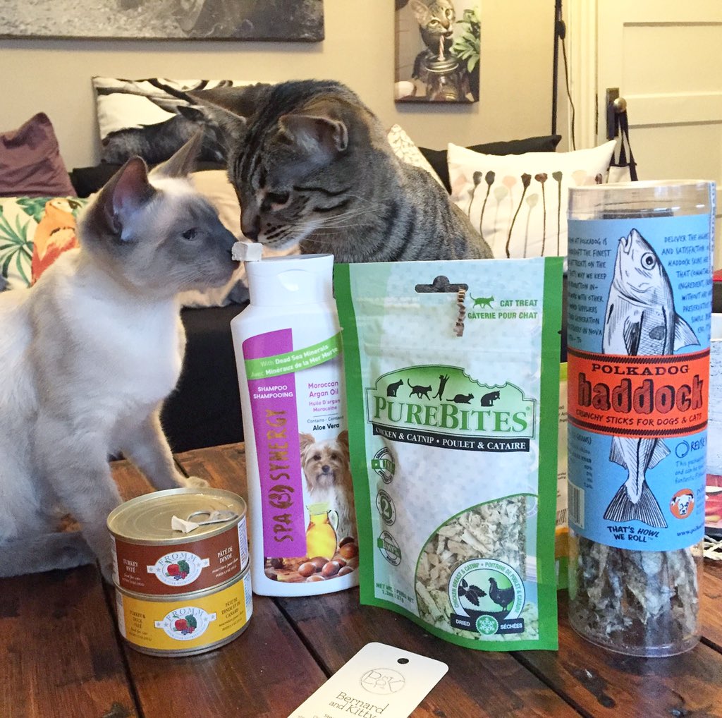 miss purrfect cat snacks