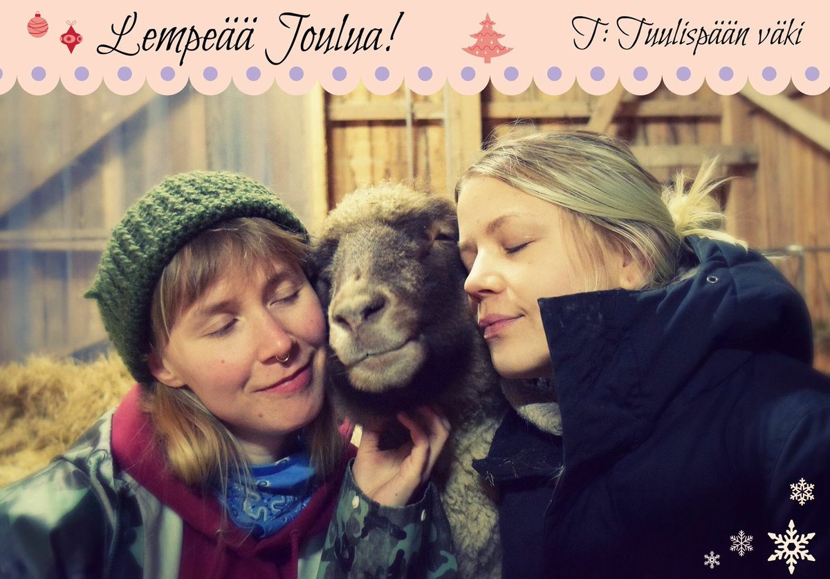 Esk_Tuulispaa's tweet photo. Ihanaa joulua kaikille eläinten ystäville 💝! https://t.co/siKQTPdxZN