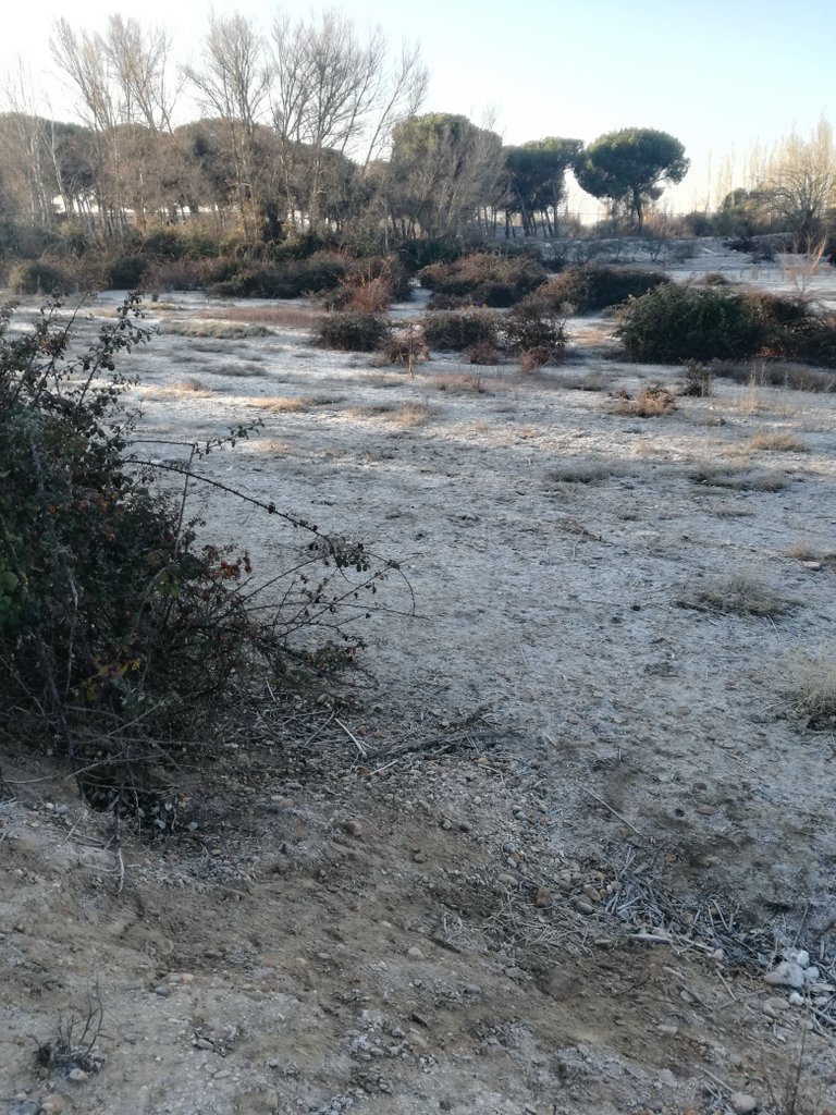 CVR1610_'s tweet photo. El paisaje en el rodaje de esta mañana ❄ https://t.co/cRmMNCHEvW