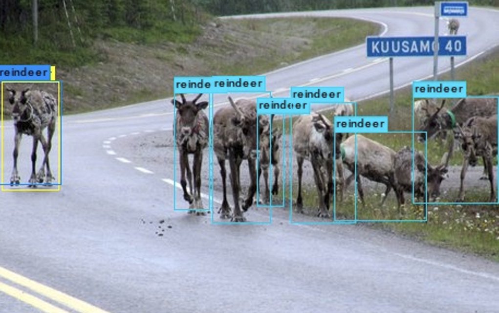 PetCro's tweet photo. Saving Rudolph! Proud to see that our first startup we worked with back in 2015 is exporting to Norway where ReindeerCam saves reindeer using its AI-technology. Santa Claus is a huge fan ;-). https://t.co/6lLagTvCdF #engine27 @vanherbruggen @De_Boeck_Bart @DgplsAntwerpen https://t.co/yp6kmZVrxV