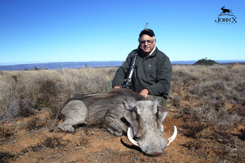JohnXSafaris's tweet photo. #Warthog #JohnXSafaris #eastcapehunting #Woodlandssafariestate #customsafari #freerangehunting https://t.co/bbs0C8vgwX