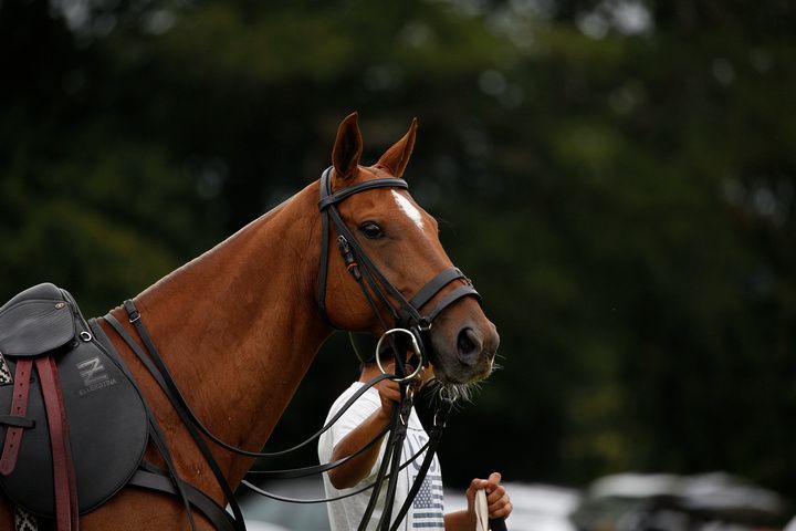 Wishing everyone a peaceful and joyful Christmas! Thank you to all our wonderful members for your support this year, we look forward to seeing you next season. 📸 C.Bennett