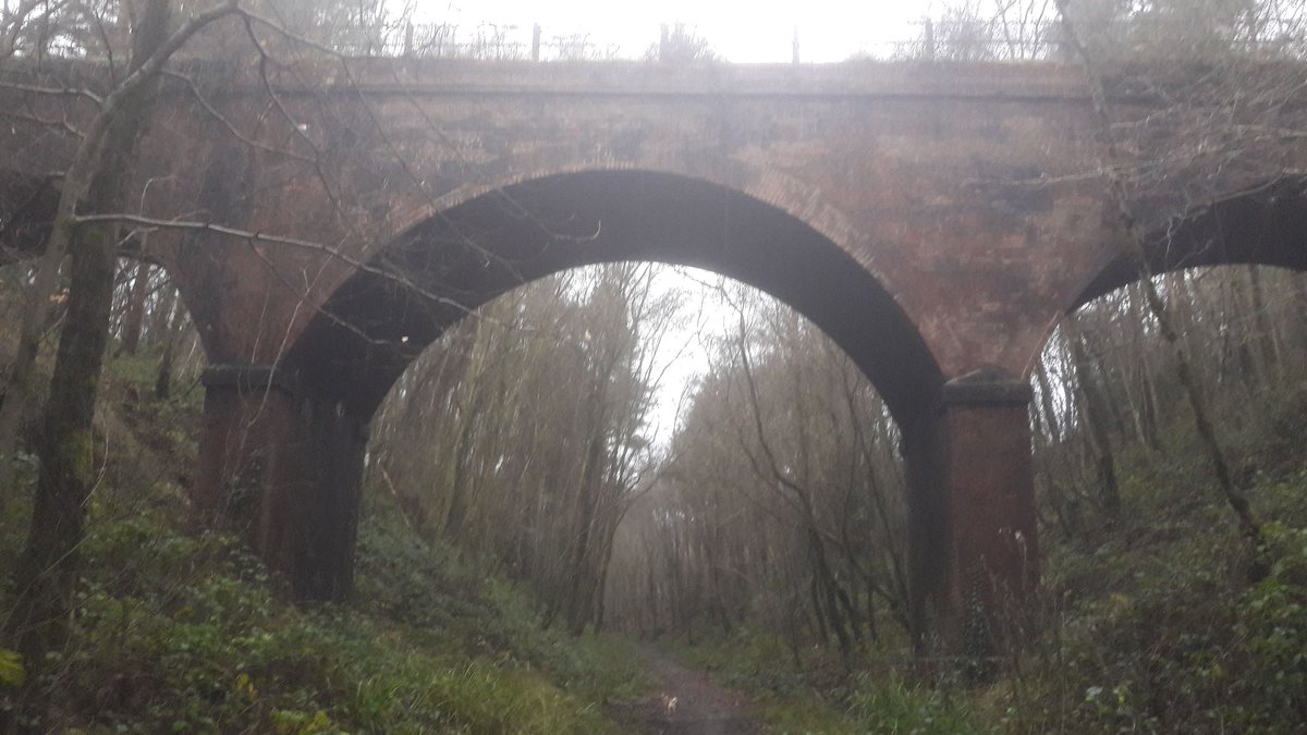 Abandoned railway arch near Heathfield. Dog for scale. #ohdrbeeching