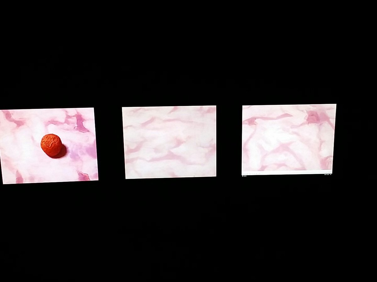 Film van Henk Puts. #kunstfilm #bam2017 #bierumerschool