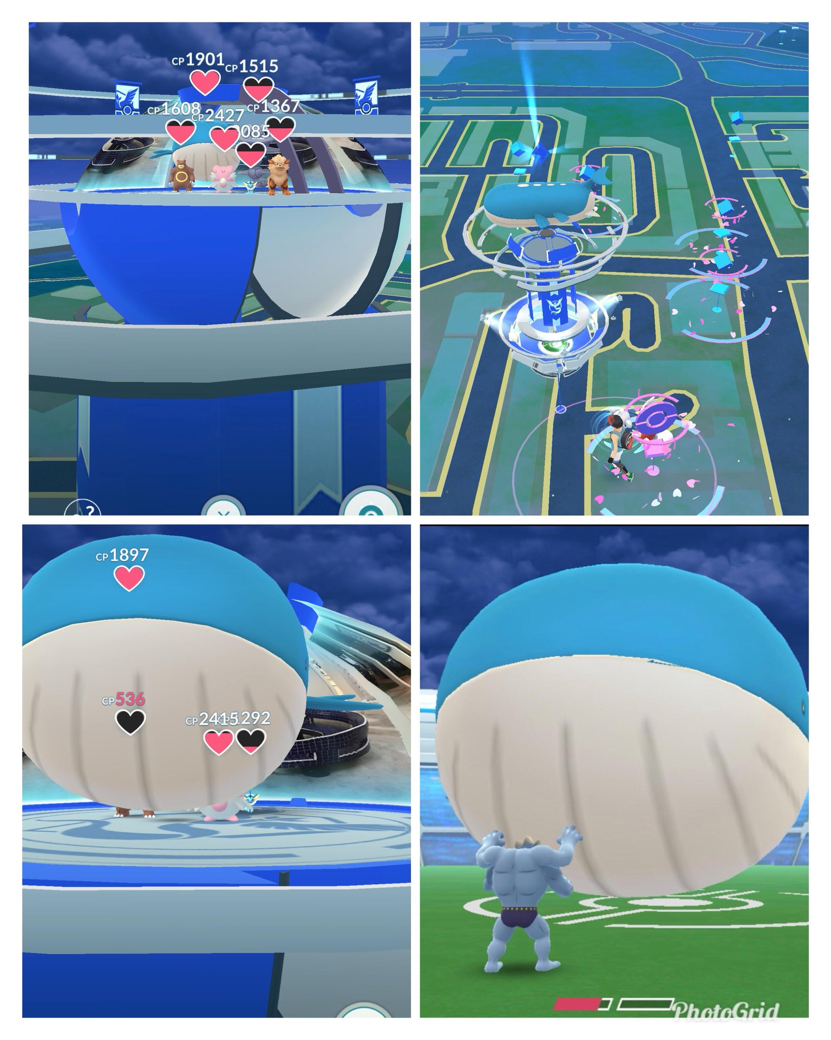 Pokémon Go México on Twitter "Así es como se ve Wailord como compañero